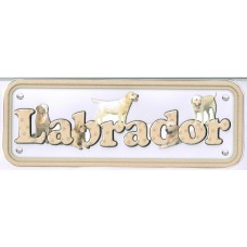 Labrador - golden